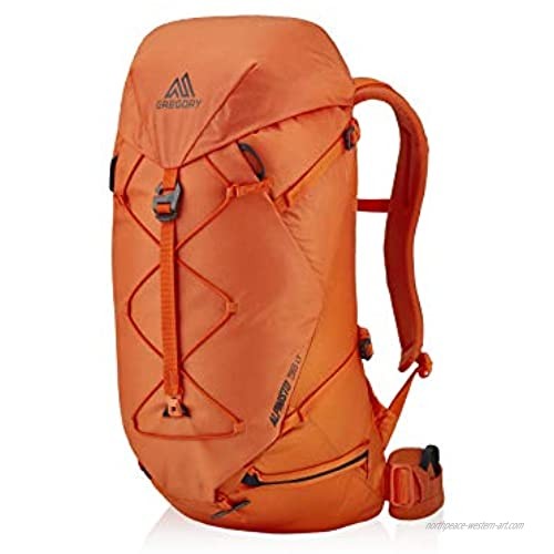 Gregory Mountain Products Alpinisto 38 LT Alpine Backpack