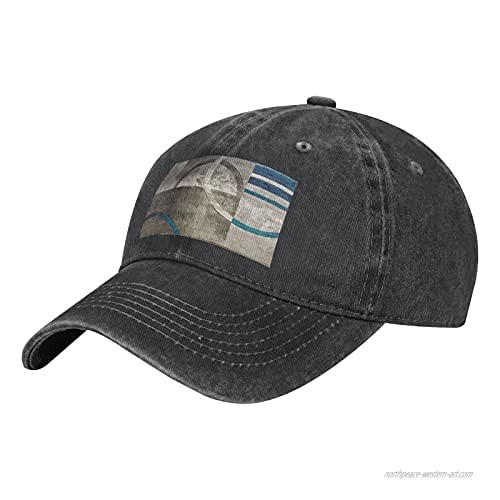Art Grey and Blue Adult Casual Cowboy HAT  Mens Adjustable Baseball Cap  Hats for MENArt Grey and Blue