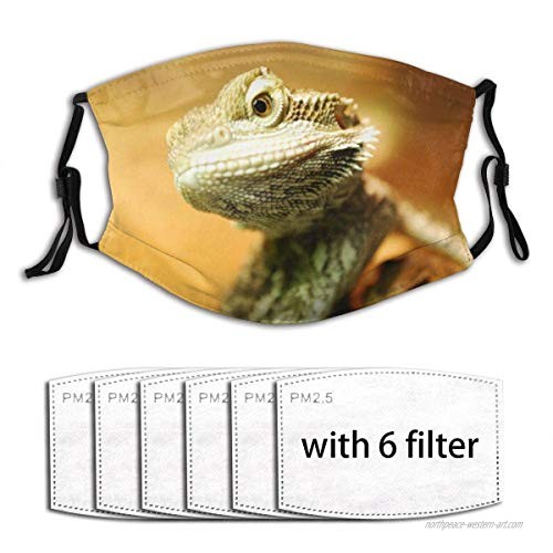 Face Cover Animal Bearded Dragon Mask Print Design Balaclava Bandanas Reusable Windproof Anti-Dust Adjustable Earloops Headwear Outdoor Motorcycle Running Dust Cover With 6 Filters For Teen Men Women